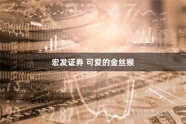 宏发证券 可爱的金丝猴