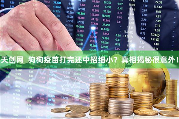 天创网  狗狗疫苗打完还中招细小？真相揭秘很意外！