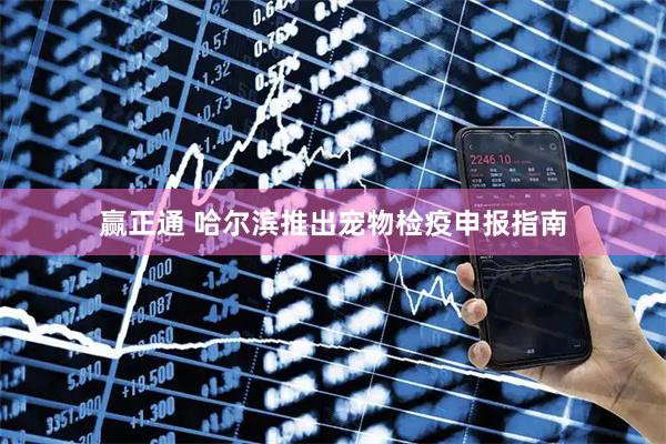 赢正通 哈尔滨推出宠物检疫申报指南