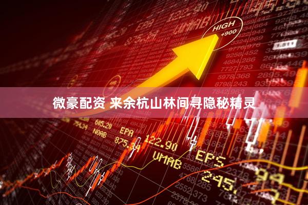 微豪配资 来余杭山林间寻隐秘精灵