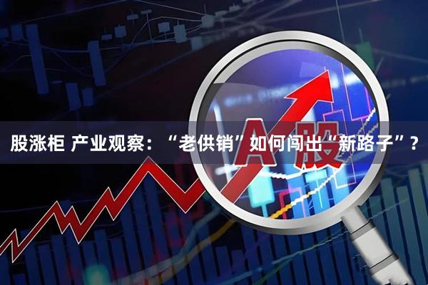 股涨柜 产业观察：“老供销”如何闯出“新路子”？