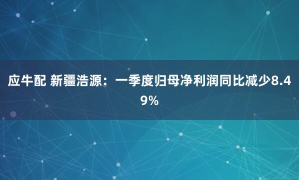 应牛配 新疆浩源：一季度归母净利润同比减少8.49%