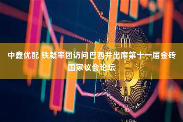 中鑫优配 铁凝率团访问巴西并出席第十一届金砖国家议会论坛