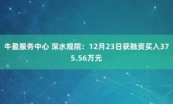 牛盈服务中心 深水规院：12月23日获融资买入375.56万元