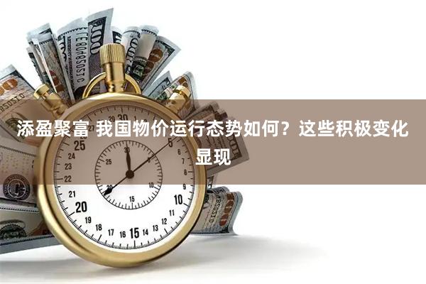 添盈聚富 我国物价运行态势如何？这些积极变化显现