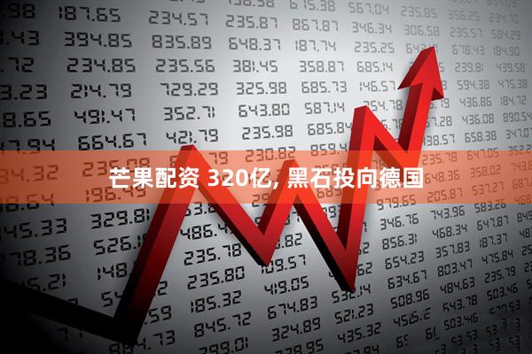 芒果配资 320亿, 黑石投向德国
