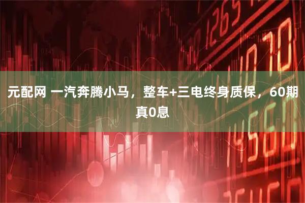 元配网 一汽奔腾小马，整车+三电终身质保，60期真0息