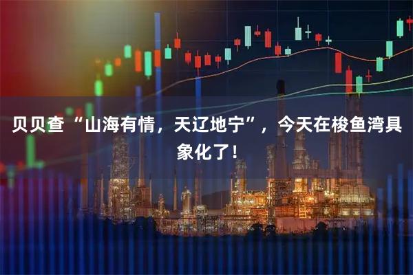 贝贝查 “山海有情，天辽地宁”，今天在梭鱼湾具象化了！